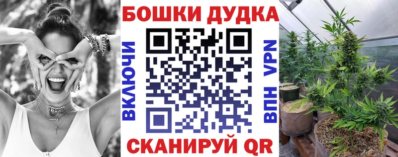 Конопля Amnesia  купить наркотики сайты  Кедровый 